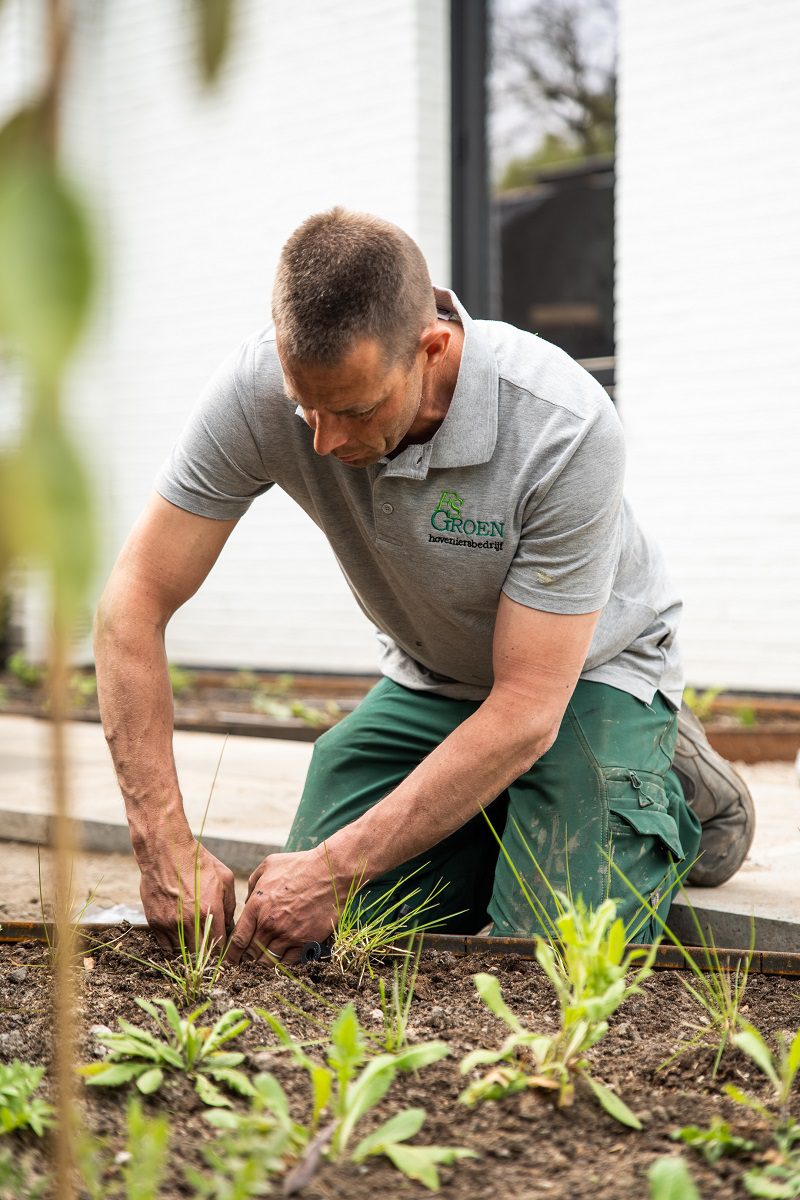 FS Groen | Woudenberg